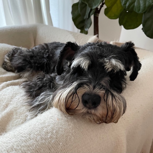 Meet your Posher, Carrie - Picture 2 of 2